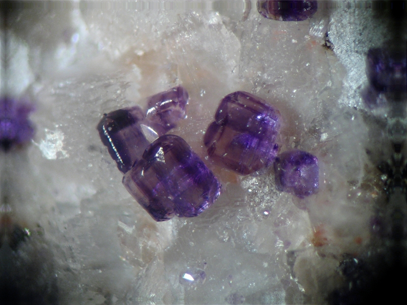 188018-fluorite Les Meix 01.jpg