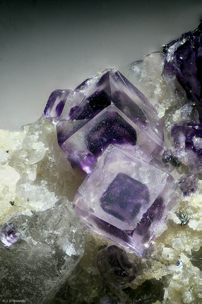 Fluorite - Les Gottes (Carrière) - St Julien Molin-Molette - Loire