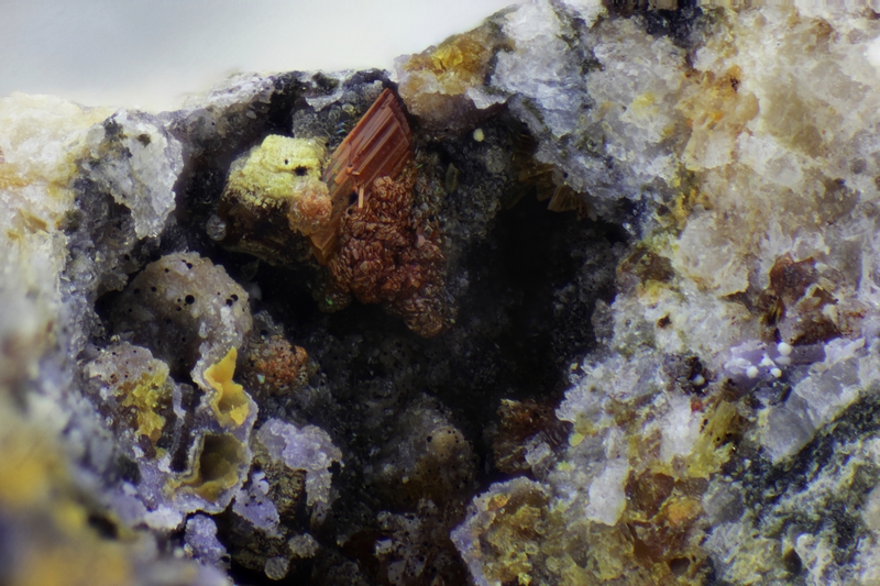 ENSMP_166059_Boite2_LauetiteVariscite_MassifAlberesCollioure_141p_5x_fov=3,8mm.jpg