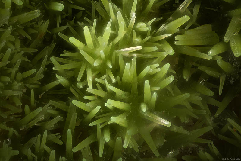 Pyromorphite - Creuzeval - St Didier sur Beaujeu - Rhône