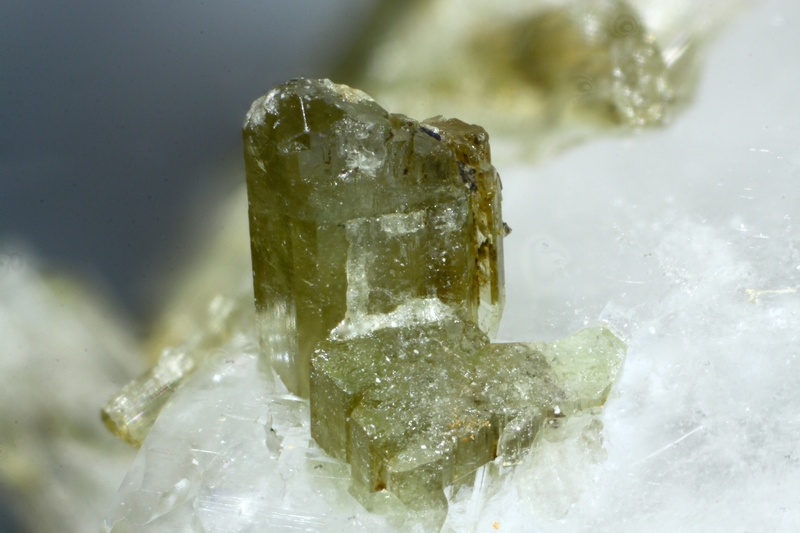 138169-epidote,quartz-GB-chp 5,5mm.jpg