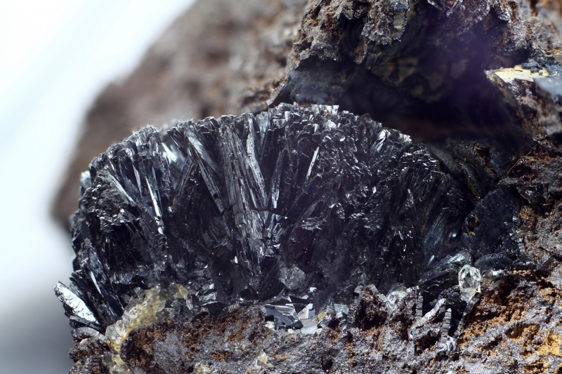 n°181152 - Pyrolusite - Alban - Le Fraysse (secteur) - Tarn