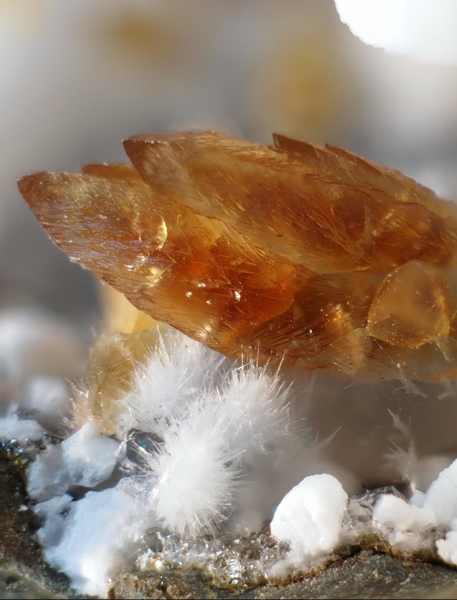 calcite sur okenite La Réunion 5 mm. Col.GL phot GL .JPG