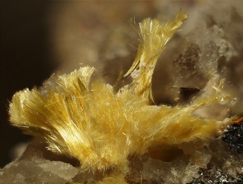 champ 6,5mm Mimétite fibreuse (Prixite) Les Molérats 71 - 6,5mmaa.jpg