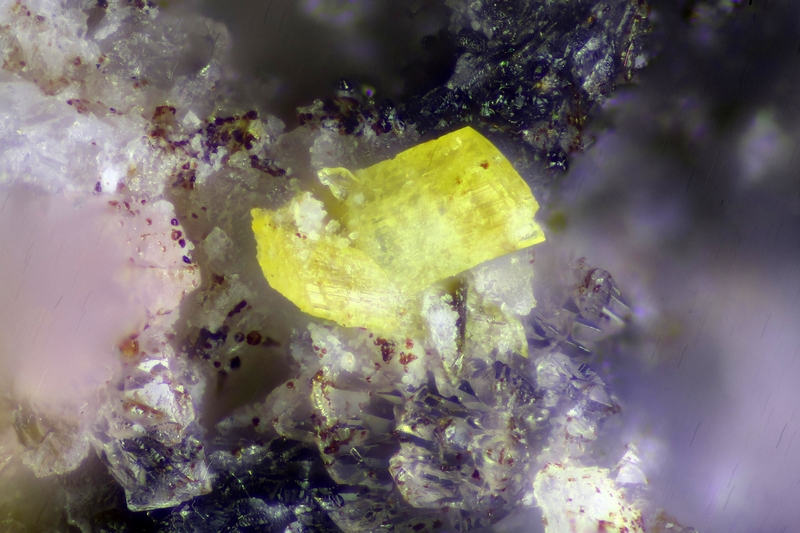 champ 0,9mm
Donateur :Jeanine et Gérard Boyer 166058 Mangangordonite, variscite 66 Collioures fov 0.9 mm JPB.jpg