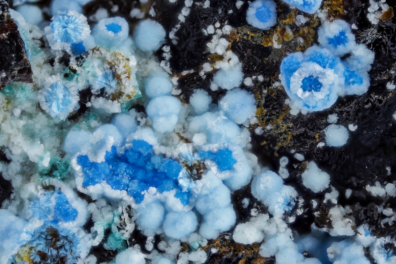 champ 2,6mm Alumohydrocalcite, carbonatecyanotrichite_2,6mm.jpg