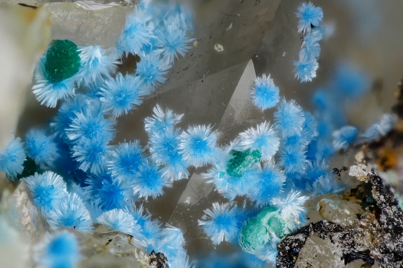 champ 1,8mm Carbonatecyanotrichite, malachite, quartz_1,8mm.jpg