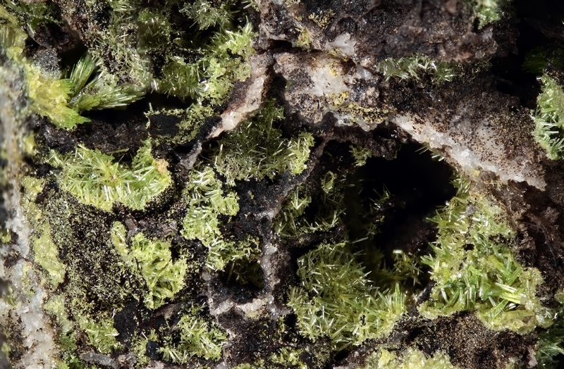 champ 7,70mm
Donateur : Jacques Valverde F569-146001-AFM-pyromorphite-bel castel-o63-c7,70mm.jpg