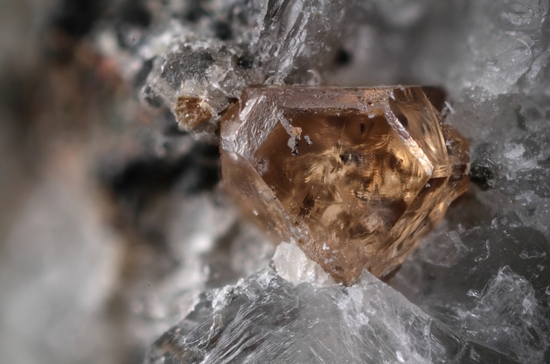 champ 1,80mm
Donateur : Jean-Pierre Bourgarel F575-164014-AFM-zircon-hetches-o19-c1,80mm.jpg