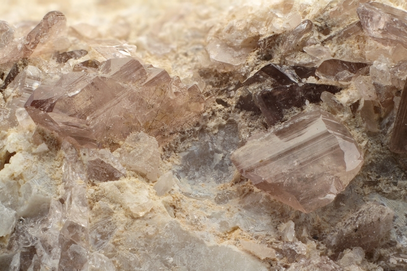 F574-165044-AFM-ferroaxinite-caouberes-o55-c8,65mm.jpg
