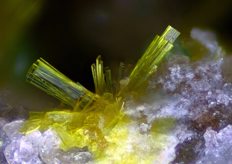 6 183112 Dewindtite, Le Charbonnier, Les Adrets, 83 FR, Don. P.Monniot, Phot. PierreClolus Fov 0,7mm B - Copie.jpg