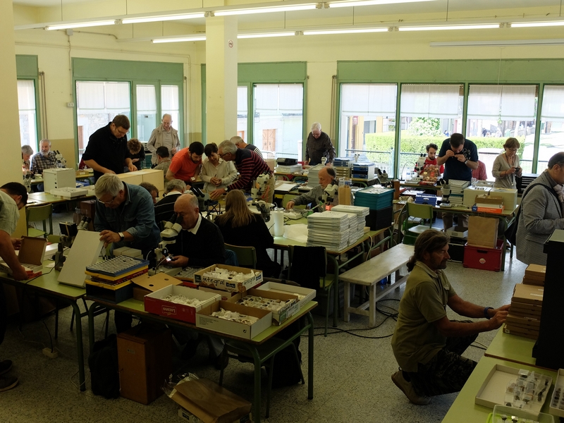 Rencontre de microminéralogie à Rocabruna - Camprodon - Catalogne