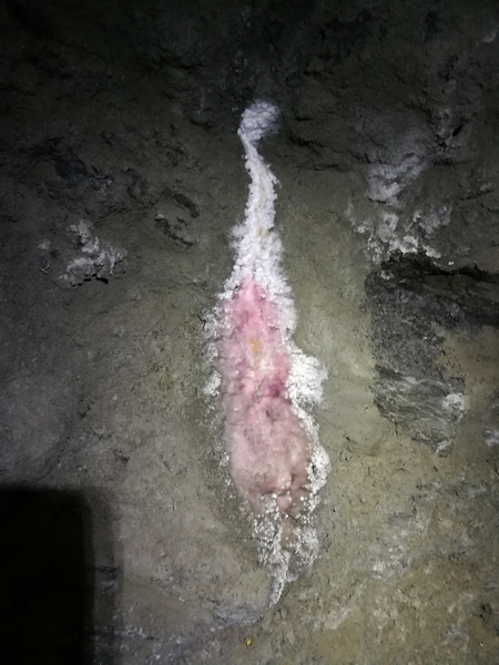 Dimanche à la mine des Ferreres