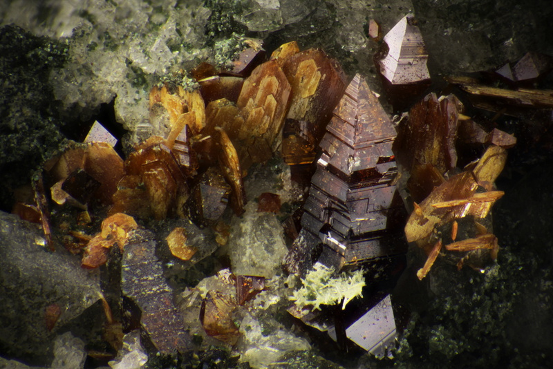 Anatase_Brookite_Monazite_Massif de la Lauzière_TB_Fox=4,6mm.jpg