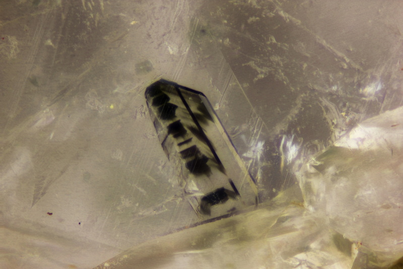 Inclusion Brookite dans Quartz_Jarrier_St-Jean de Maurienne_TB_fov=1,2mm.jpg