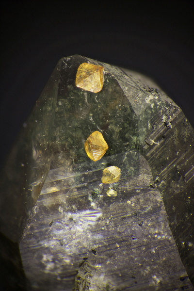 champ 4,6mm Anatase_Quartz_Massif de la Lauzière_TB_Fov=4,6mm.jpg
