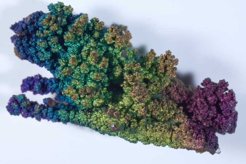 Goethite irisée - Le Moulinal - St Jean de Jeannes - Tarn