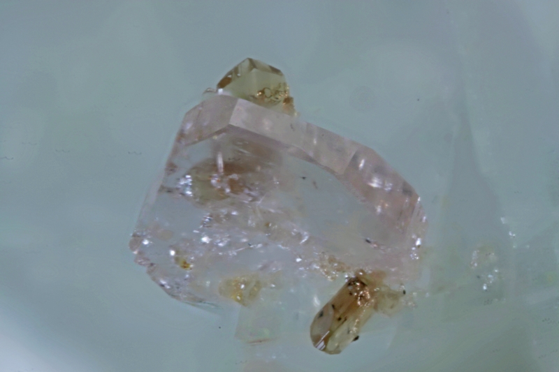 iimoriite-(Y) allanite-(Ce)9839 champ 2,1mm.jpg