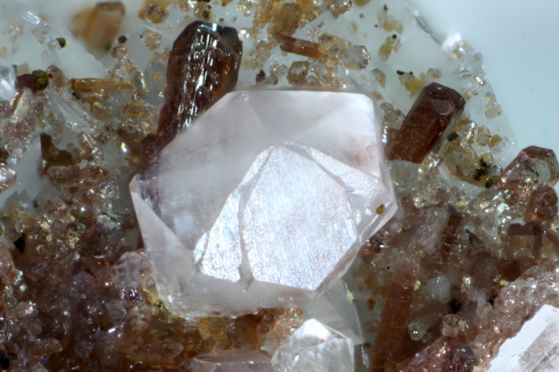 calcite 9097 et allanite-(Ce) champ 4,8mm.jpg