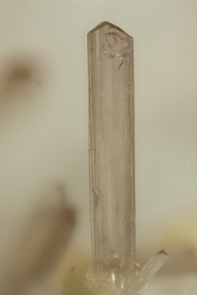 gatelite-(Ce) 8822 champ 1,4mm.jpg