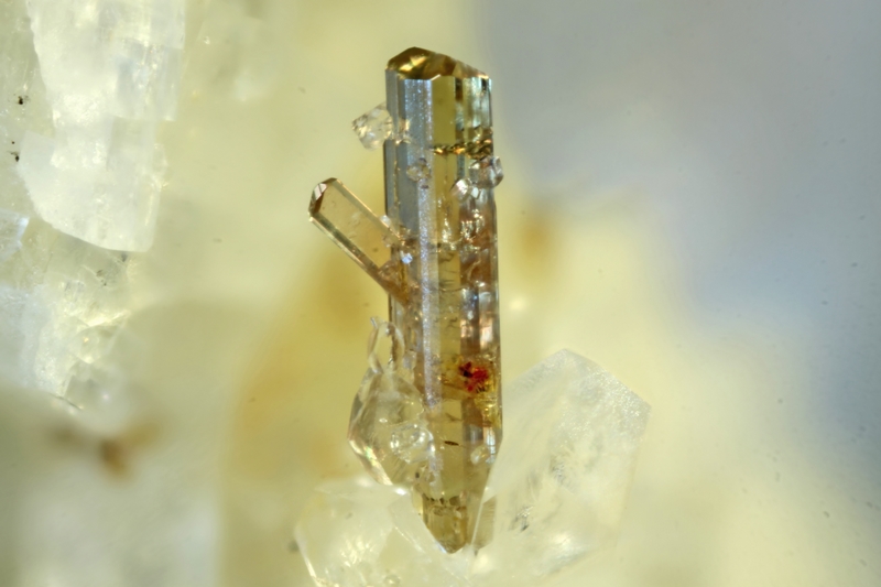 allanite-(Ce) 9996 champ 3mm.jpg
