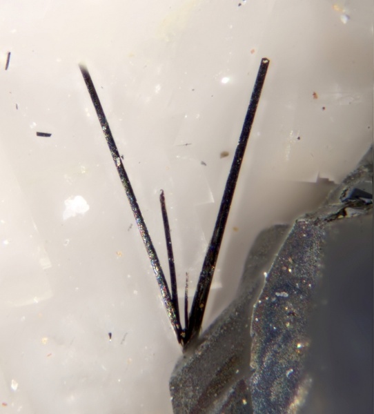 fizelyitea le rivet,champ 0,7mm GB.jpg