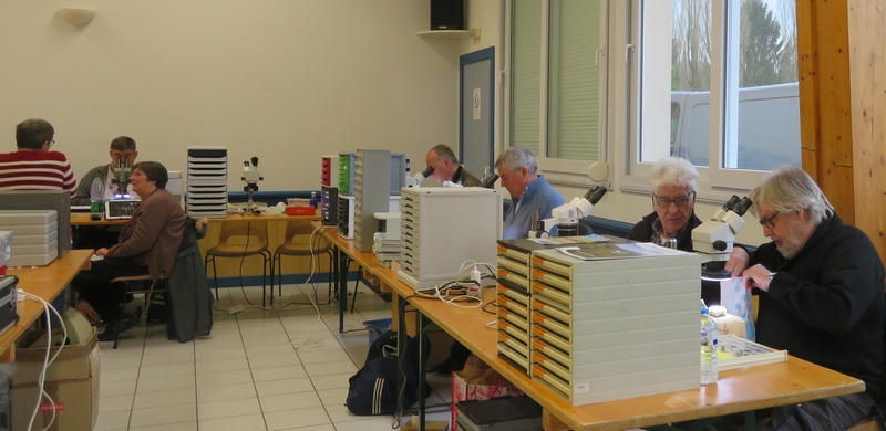 Micros MONTMAIN  03-2018  (40).JPG