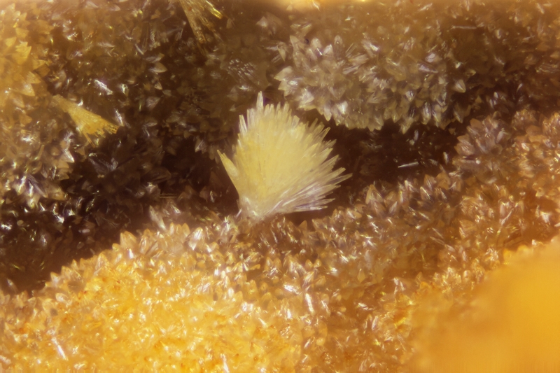 AFM_130094_Mimetite_49p_R135-170mm-10x_PF=1,38_Fov=2,35mm_001R.jpg