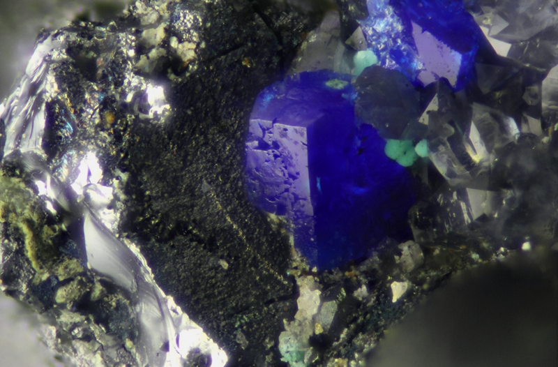 AFM_130098_Linarite_La SanguinèdeStLaurentLeMinier_29p_R180-205mm-10x_PF=0,60_Fov=1,55mm_001R.jpg