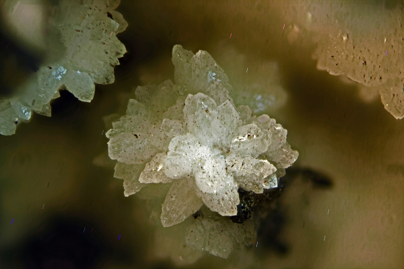 129114-b-AFM_PH_2018-10-24 06-39-49 (C).jpg