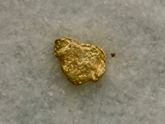 Or - Grand Etang - L'Andelot - St-Didier-la-Fôrêt - Allier - FP - Taille 0,4mm.jpg