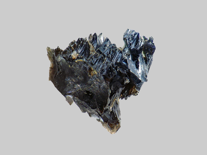 Augite aciculaire - Bournac - Saint-Front - Haute-Loire - FP - Taille 3mm - Augite aciculaire - Bournac - Saint-Front - Haute-Loire - FP - Taille 3mm.jpg Augite aciculaire - Bournac - Saint-Front - Haute-Loire - FP - Taille 3mm.jpg