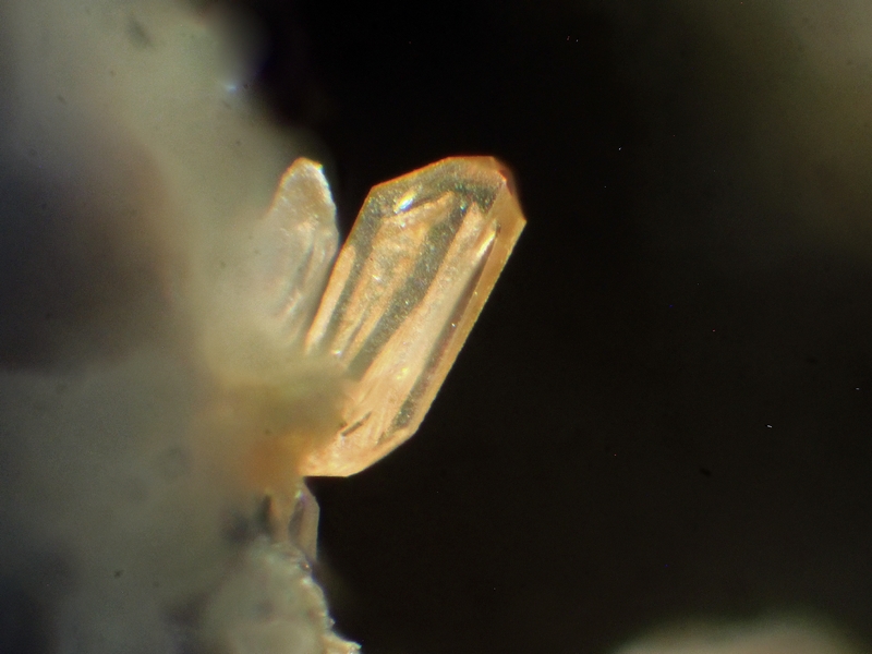 AFM-163268_Ph.jpg