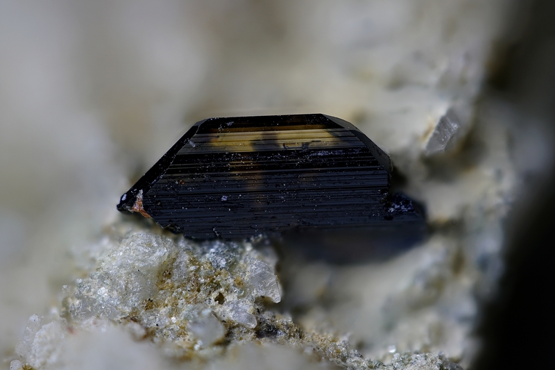 106017-a Brookite, Isola, FR, Don Andréa Dalia, Coll. AFM, Phot. P Clolus, Fov 2,5mm C.jpg