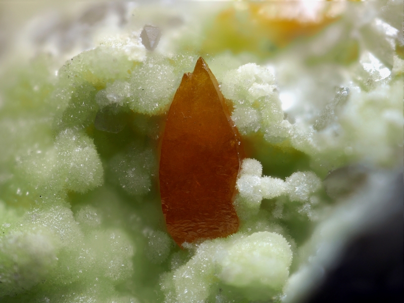 champ 2,2mm
Donateur : Andrea Dalia 183138 Wulfénite sur pyromorphite, Vallaury, Plan de la Tour, 83 FR, Don Andrea DALIA, Phot. P. Clolus, Fov 2,2mm - Copie.jpg