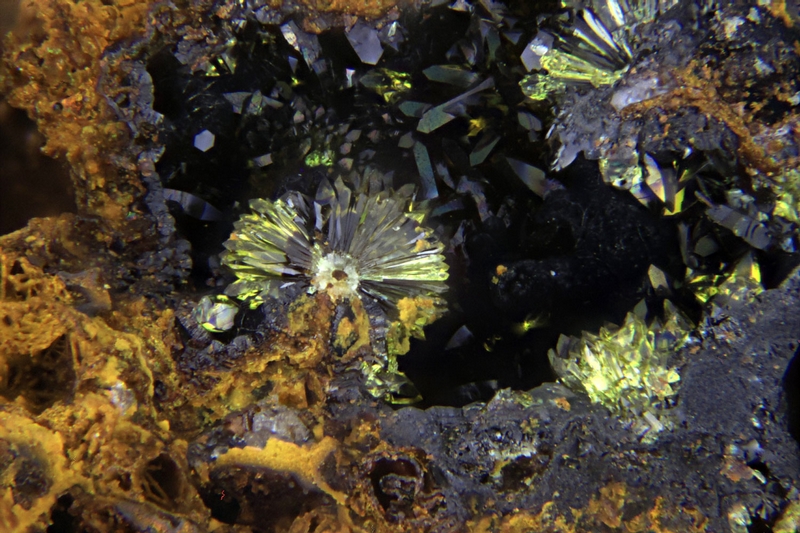 Hinsdalite Fov 1.5 mm.jpg