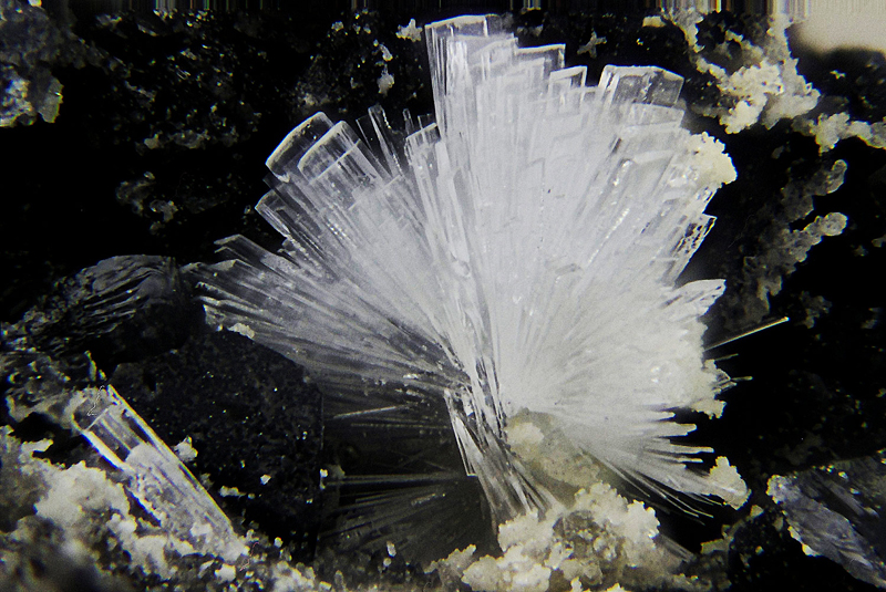 champ 2,5mm Hémimorphite, Les Molérats Mine, Saint-Prix, Saint-Léger-sous-Beuvray, Saône-et-Loire,objectif x 20 soufflet ouvert a 15 mm Fov 2.5 mm.jpg