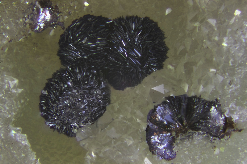 champ 1,5mm Lépidocrocite Les Molérats Mine, Saint-Prix, Saint-Léger-sous-Beuvray, Saône-et-Loire, Bourgogne-Franche-Comté, France 122-Photos objectif x 20 soufflet ouvert a 50 mm Fov 1.5 mm.jpg