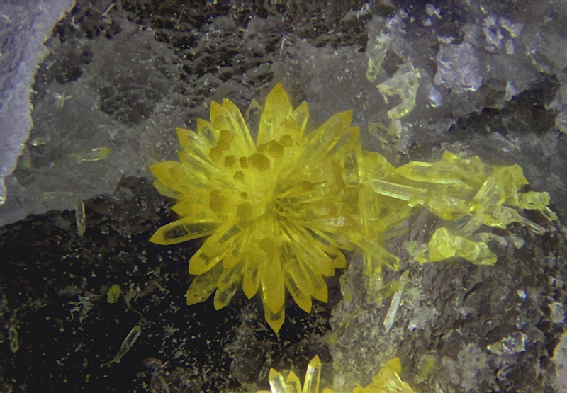 champ 2mm Mimetite, Les Molérats Mine, Saint-Prix, Saint-Léger-sous-Beuvray, Saône-et-Loire, Bourgogne-Franche-Comté, France 241-Photos objectif x 20 soufflet ouvert a 20 mm Fov 2.00 mm.jpg