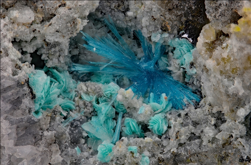 champ 1,6 mm Serpierite Schulenbergite la Baume Villfranche de rouergue Aveyron JCD champ 1,6 mm.jpg