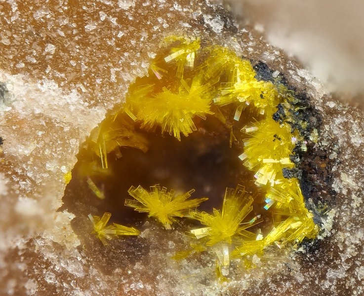 champ 1,4mm phospho JMJ.jpg
