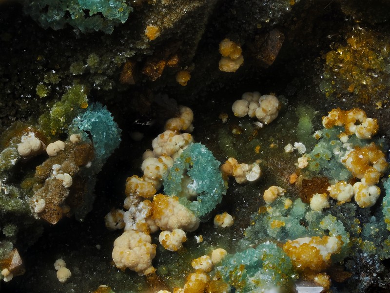 champ 1,8mm Chalcosiderite jarosite kidwellite mine de l'eperon Beauvoir Echassieres Allier ch1.8mm.jpg
