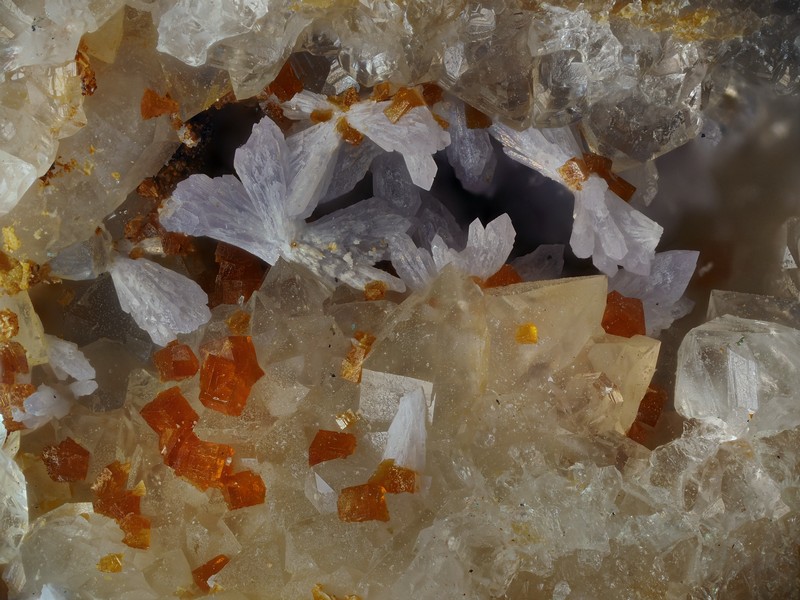 champ 2,5mm Strengite bariopharmacosiderite les montmins Echassieres Allier ch2.5mm.jpg