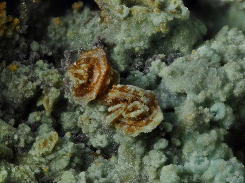 jarosite chalcosiderite mine de l'eperon Beauvoir Echassieres Allier ch2.5mm.jpg