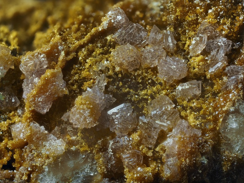 champ 2,4mm phosphosiderite mine de l'eperon Beauvoir Echassieres Allier ch2.4mm.jpg