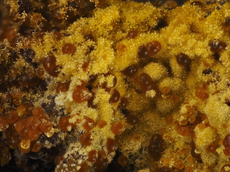 champ 3,2mm cacoxenite arbouet pyrenees atlantiques ch 3.2mm.jpg