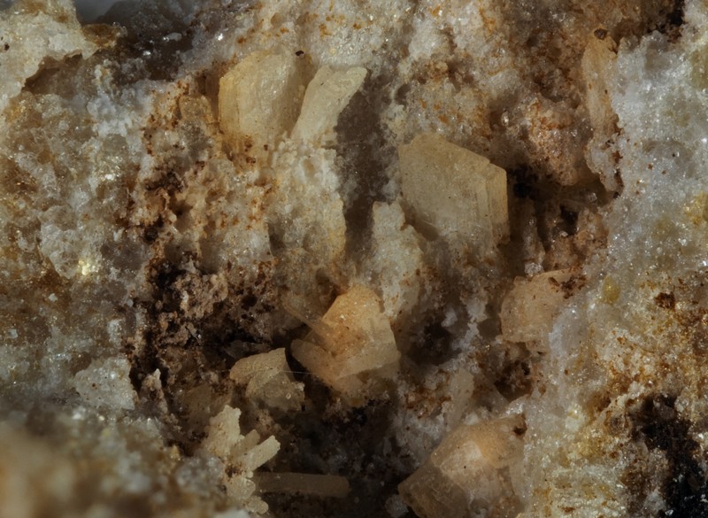 champ 2,5mm mangangordonite collioure pyrénées orientales ch2.5.jpg