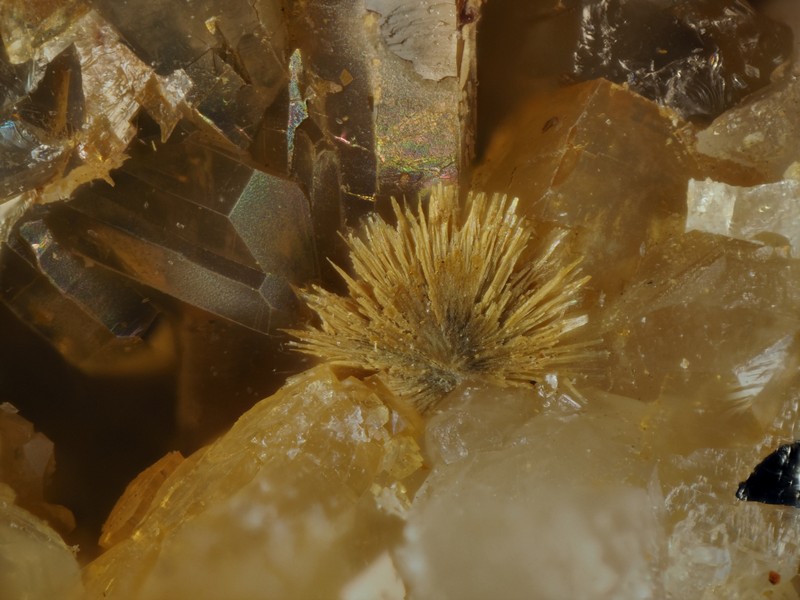 parasymplesite ste marie aux mines Colmar ch1mm.jpg