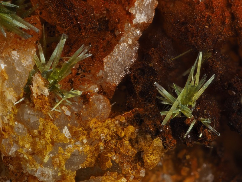 olivenite pharmacosiderite beudantite col de bussang Fresse sur moselle vosges ch1.6mm.jpg