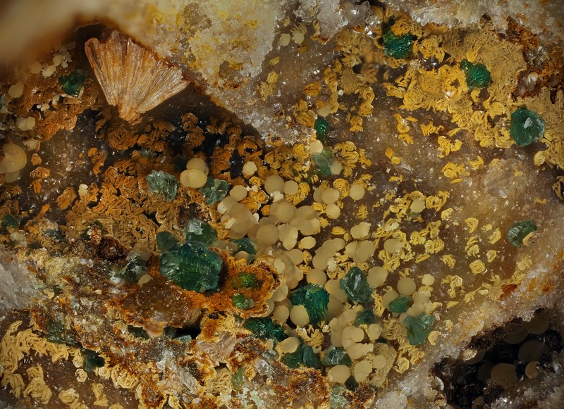 champ 3,2mm chalcosiderite kidwellite plumbogummite strengite les montmins Echassieres Allier ch3.2mm.jpg